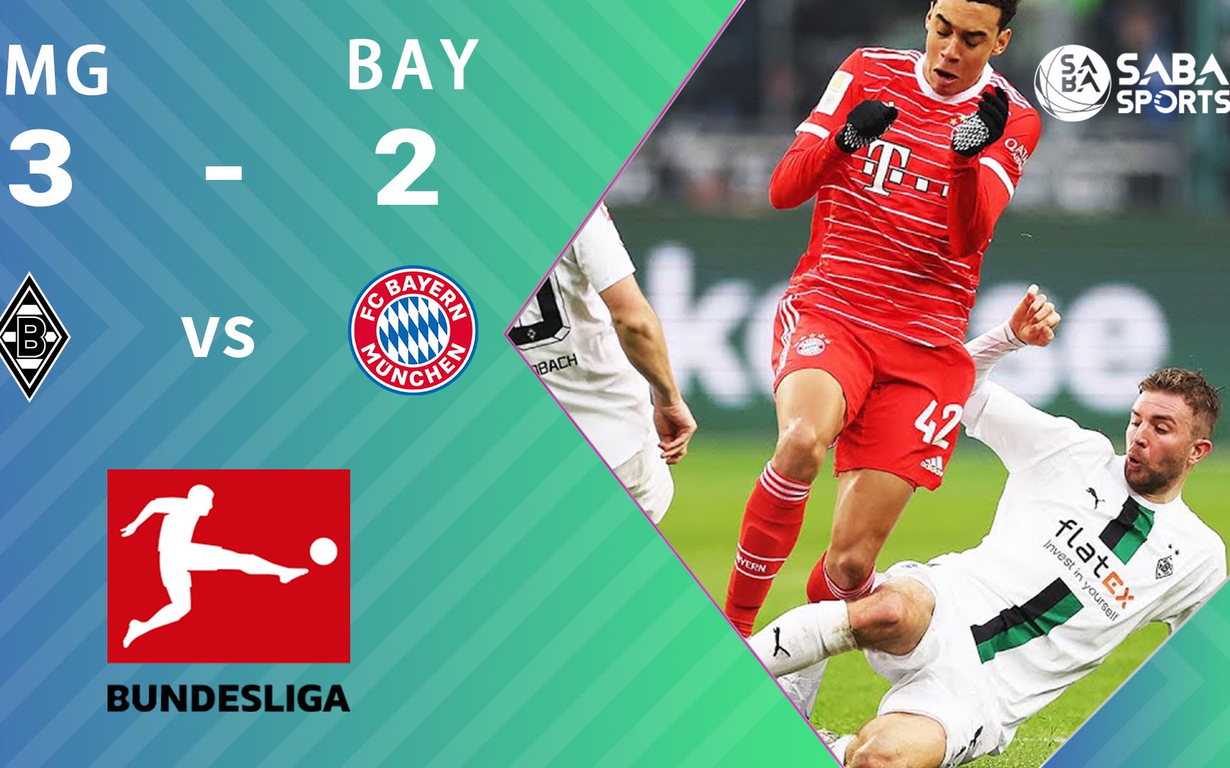 葵花籽榨油设备